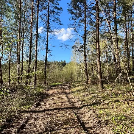 Sloneczny Nad Mazurskim Stawem *