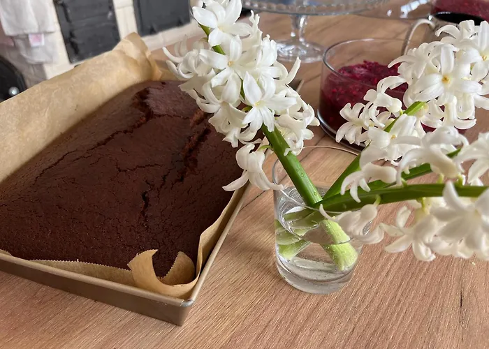 Sloneczny Na Mazurach Apartment Elgnowko