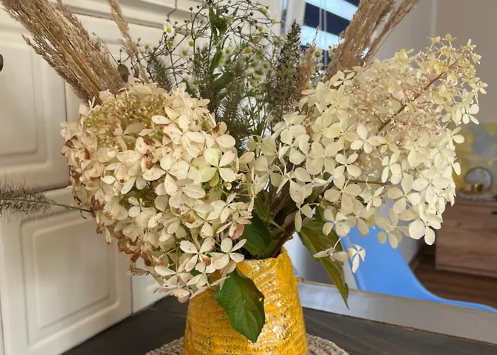 Sloneczny Na Mazurach * Elgnowko