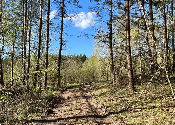 Sloneczny Na Mazurach *
